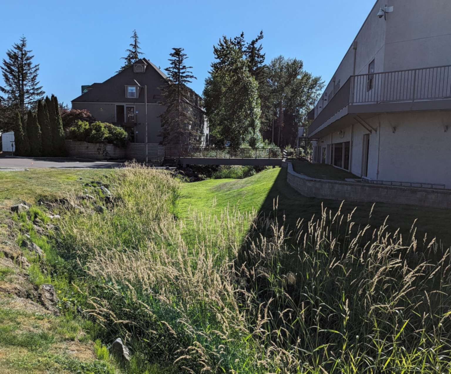 Grassy channel of Baker Creek behind Meridian Place, between a commercial building and a large gabled house, crossed by a small footbridge