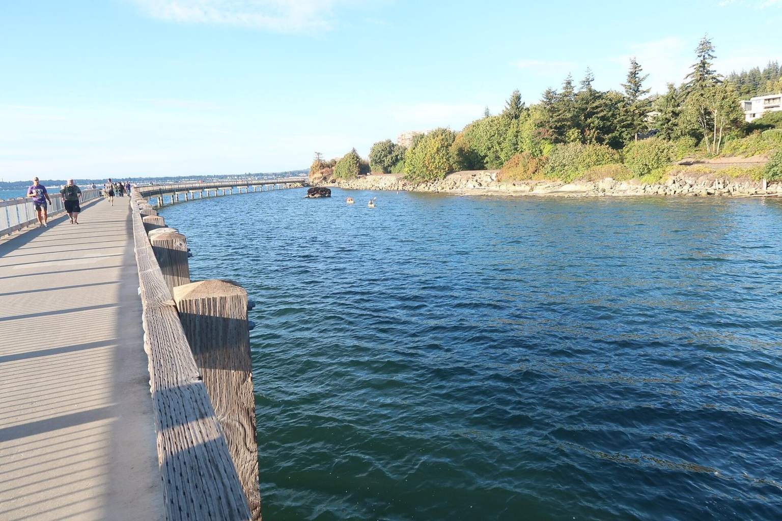 Walkers on the boardwalk along the water at Boulevard Park, with a wooded point across the bay