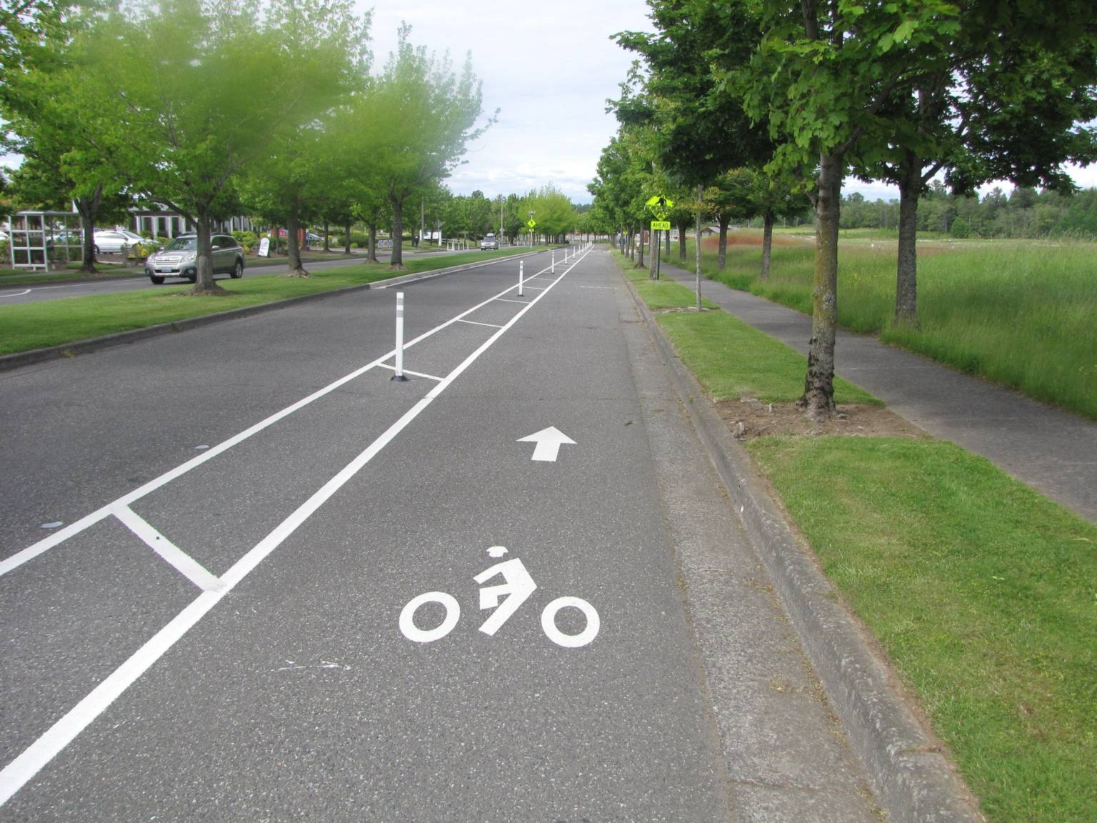 Wide buffered bike lane with white posts on Cordata Parkway, beside a tree-lined sidewalk and an open field