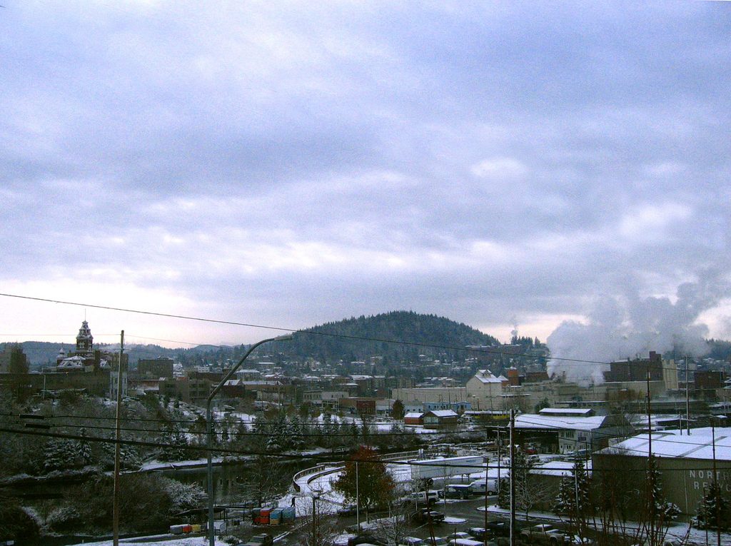 Rooftops of south downtown Bellingham with the forested Sehome Hill behind them under a cloudy sky