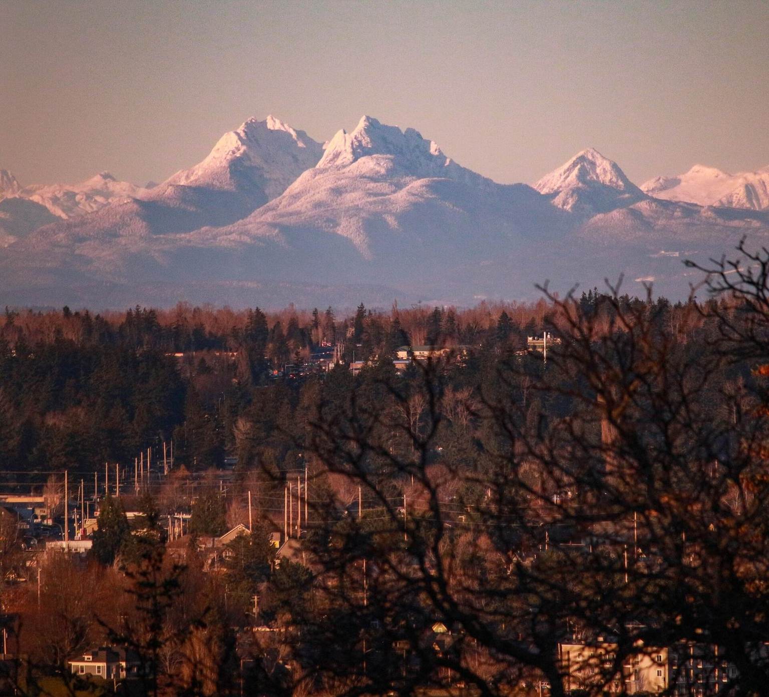 View from the Sehome Hill Arboretum over treetops and the city toward snow-covered mountains at sunset
