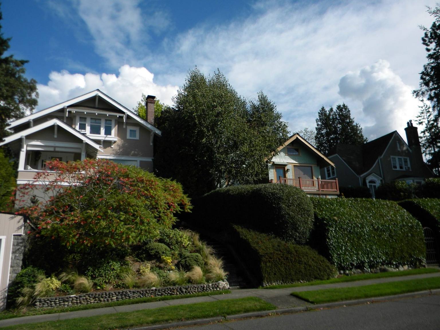 Gabled houses set above a sloped, landscaped bank of hedges and shrubs on a South Hill street